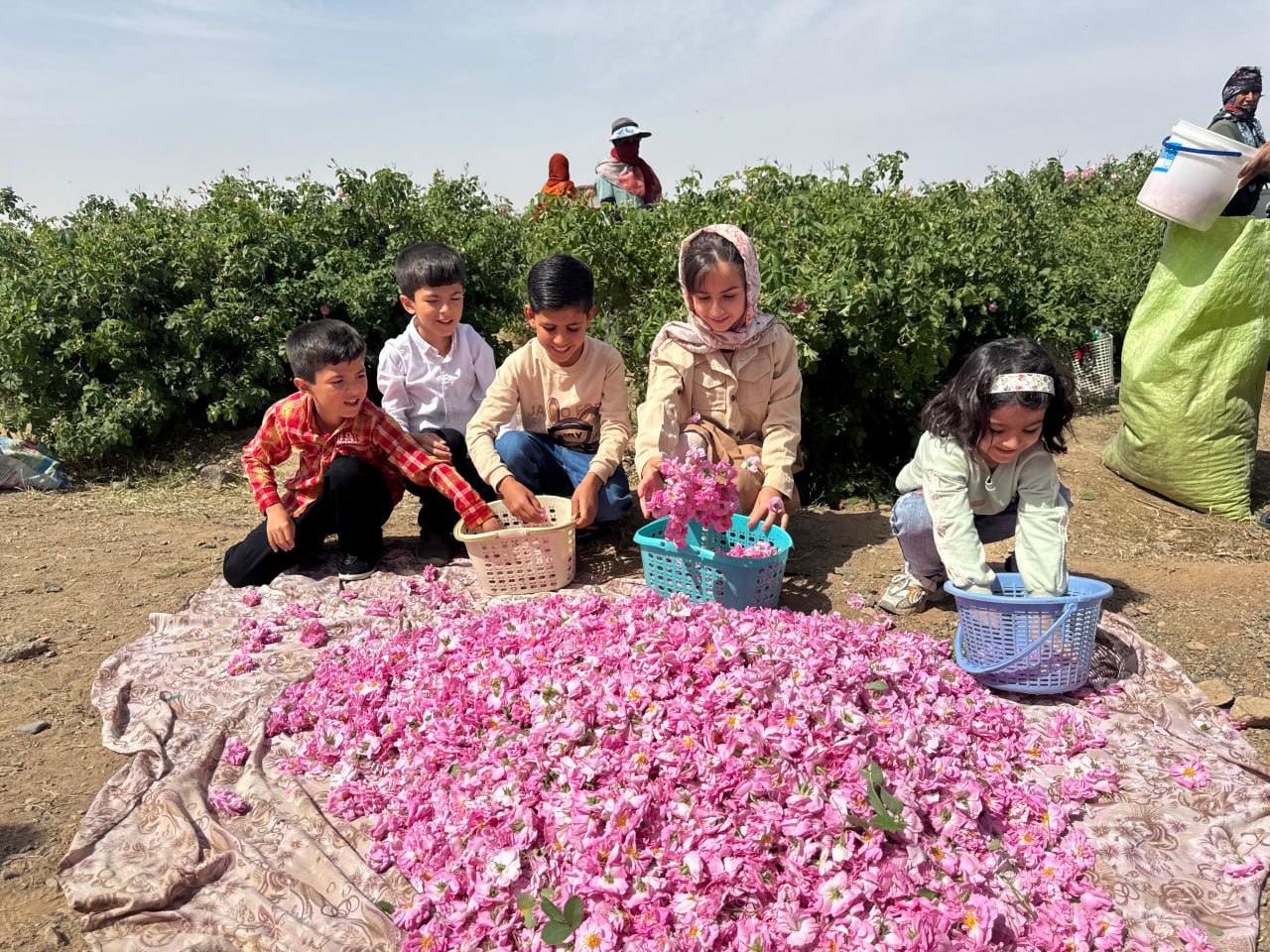 رکود مزمن برگزاری جشنواره محصولات کشاورزی و میراث فرهنگی در کاشمر